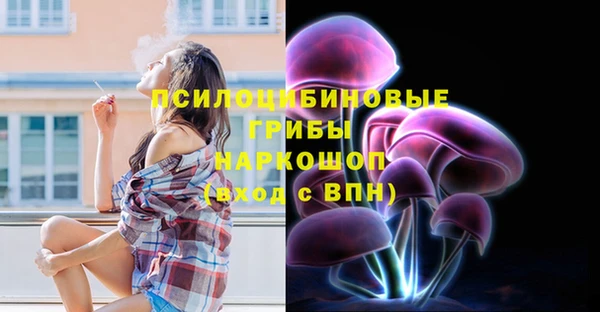 2c-b Верхний Тагил