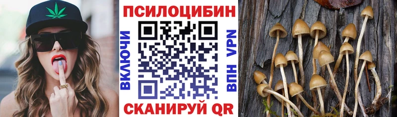 Галлюциногенные грибы GOLDEN TEACHER Новосокольники